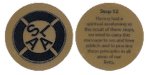 Step 12 Chip